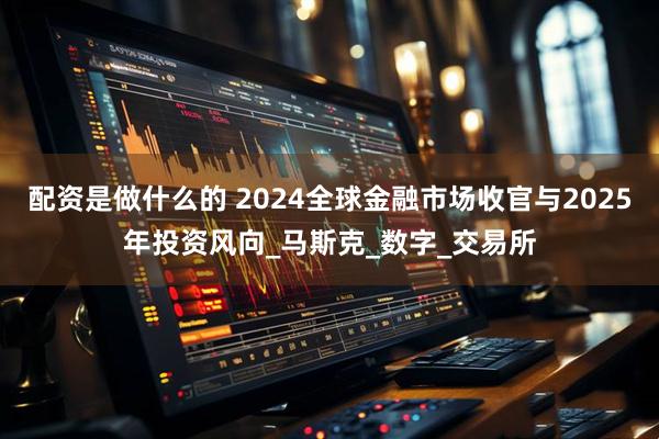 配资是做什么的 2024全球金融市场收官与2025年投资风向_马斯克_数字_交易所