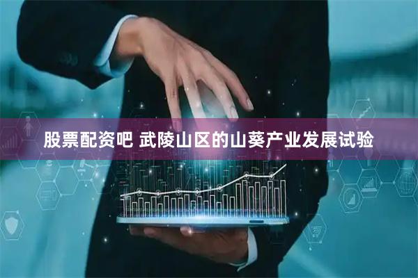 股票配资吧 武陵山区的山葵产业发展试验