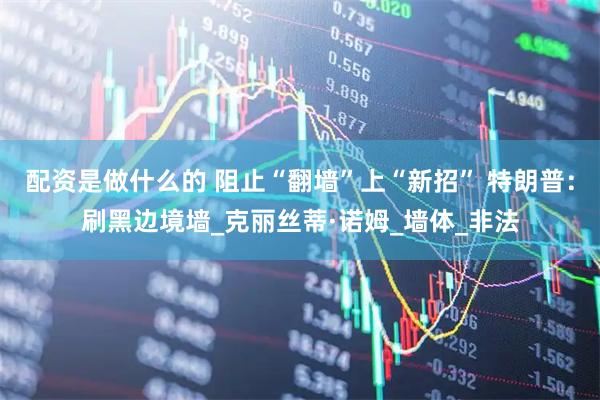 配资是做什么的 阻止“翻墙”上“新招” 特朗普：刷黑边境墙_克丽丝蒂·诺姆_墙体_非法
