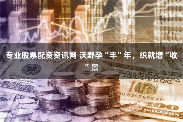 专业股票配资资讯网 沃野孕“丰”年，织就增“收”景